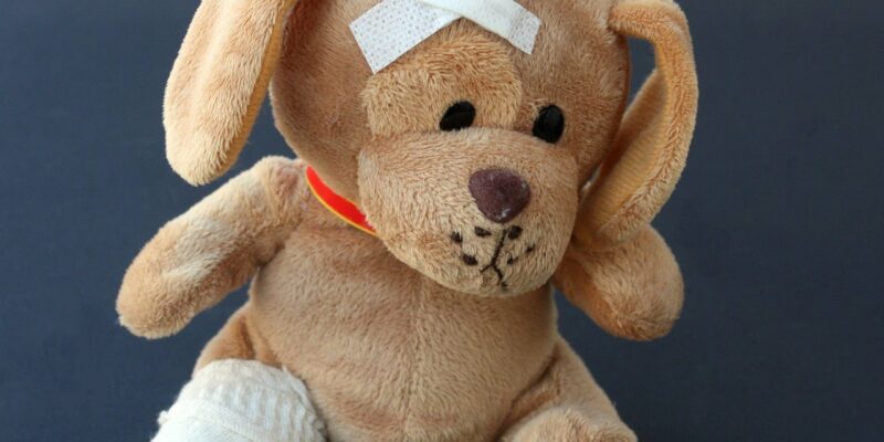 Urlaub mit Hund | Ostsee Usedom | Ferienwohnung Steinteichmühle